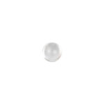dntp-001-clear-2.jpg