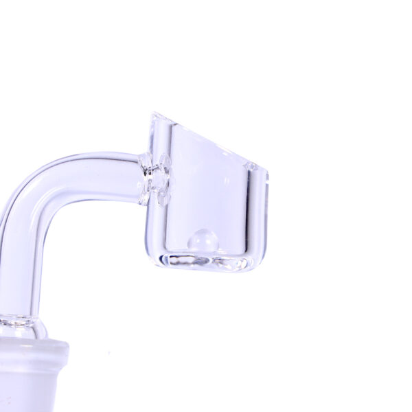 dntp-001-clear.jpg