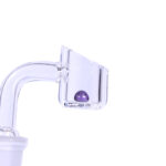 dntp-001-purple.jpg