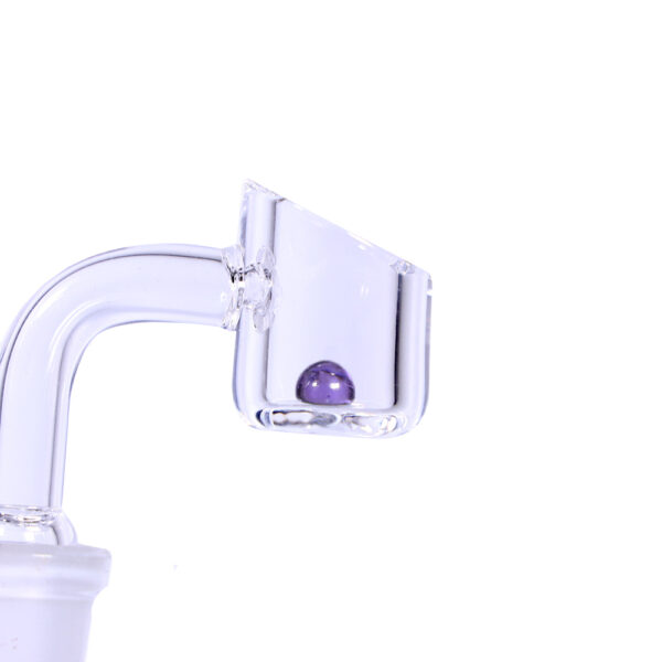 dntp-001-purple.jpg