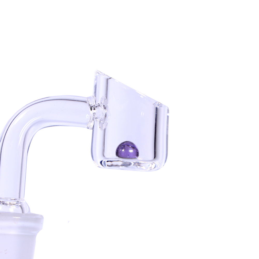 dntp-001-purple.jpg dntp-001-purple.jpg