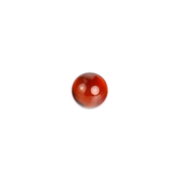 dntp-001-red-2.jpg