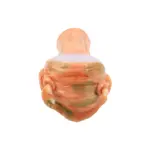 hd-172-orange-3.webp