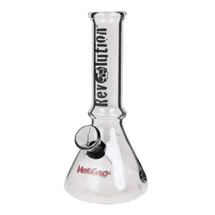 mini-021-g-revolution.webp