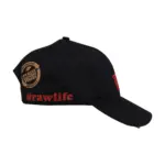 raw-acc-cap.webp