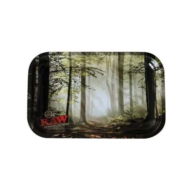 raw-rt-forest.webp