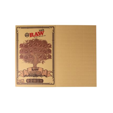 raw-t-book-2.jpg