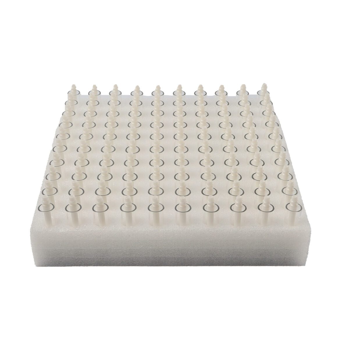 utt-ccell-evoclip-100-5.jpg