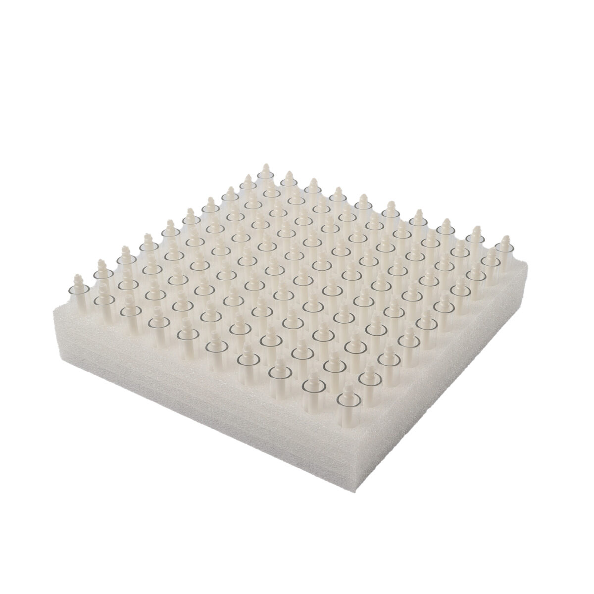 utt-ccell-evoclip-100-6.jpg