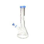 ws-001-blue-2.jpg