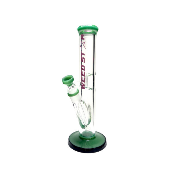 ws-002-green.jpg