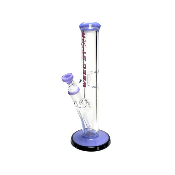 ws-002-purple.jpg